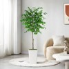 Artificial Ficus Tree, Ideal for Home Decor and Housewarming Gift - 2 of 4