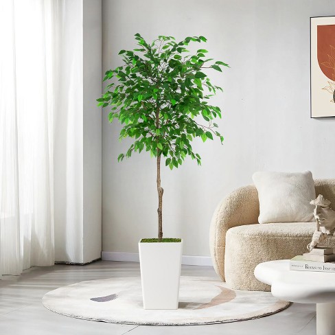 Artificial Ficus Tree, Ideal for Home Decor and Housewarming Gift - image 1 of 4