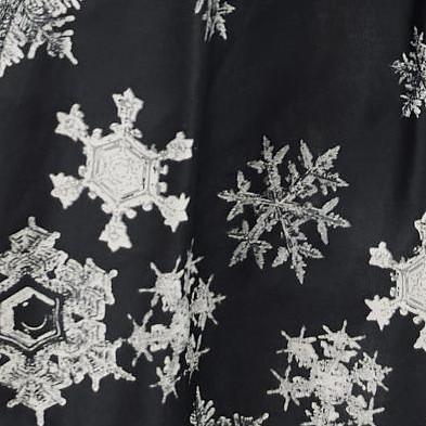 black snowflake