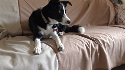Queen Size Light Gray and Dark Gray Reversible Fleece Blanket