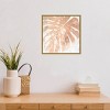 16" x 16" Neutral Palm Fossil I by June Erica Vess Framed Wall Canvas - Amanti Art - 4 of 4
