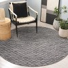 Ebony EBN313 Flat Weave Indoor Rugs - Safavieh - 2 of 4