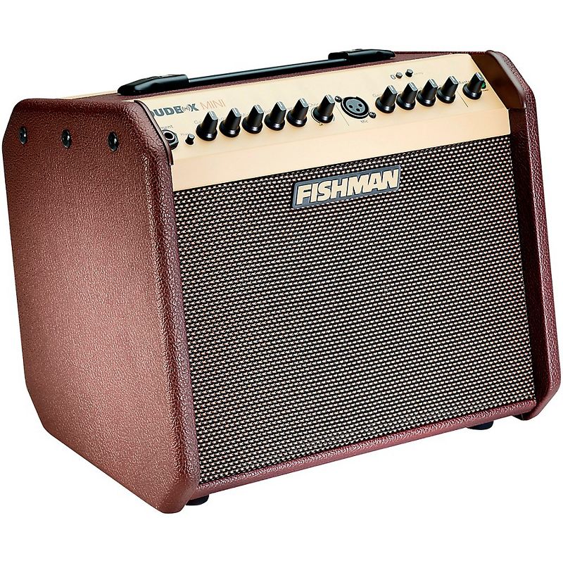 Fishman Loudbox Mini 60W 1x6.5 Acoustic Guitar Combo Amp with Bluetooth, 1 of 6
