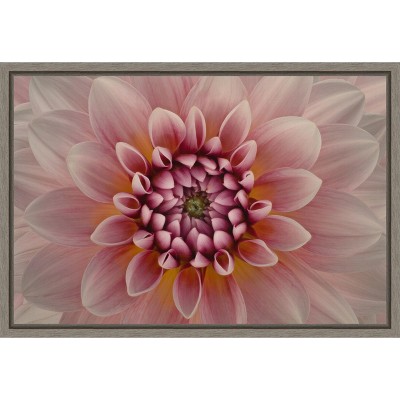 Pink Dahlia Macro Canvas Wall Art with Graywash Frame