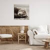 Stupell Industries Cozy Sleeping Bear Canvas Wall Art - 2 of 4
