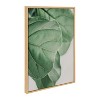 Kate and Laurel Sylvie Plant Study 6 Framed Canvas by Alicia Abla, 23x33, Natural - 2 of 4