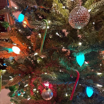 Guest review image 2 of 2, zoom in