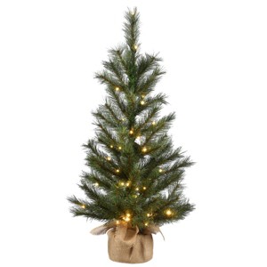 National Tree Company 3 ft. Frosted Ontario Pine Tree with Battery Operated Lights - 1 of 4