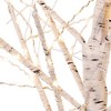 Kurt S. Adler 36.0 Inch Birch Tree Twinkle Lights Led Electric Tree Sculptures - 2 of 4