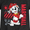 Girls' - Paw Patrol - Marshall Fitted Short Sleeve Graphic T-Shirt - image 2 of 4