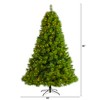 Nearly Natural 8-ft Green Scotch Pine Artificial Christmas Tree with 600 Clear LED Lights - 2 of 4