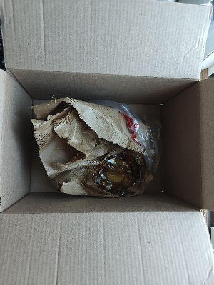 Guest review image 1 of 1, zoom in