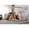 Avenlur Grove - Wood indoor 8-in-1 Wall Jungle Gym - 4 of 4