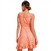 Women's Rease Lace Ruffle Detail Fit And Flare Short Dress - BB Dakota - 2 of 4