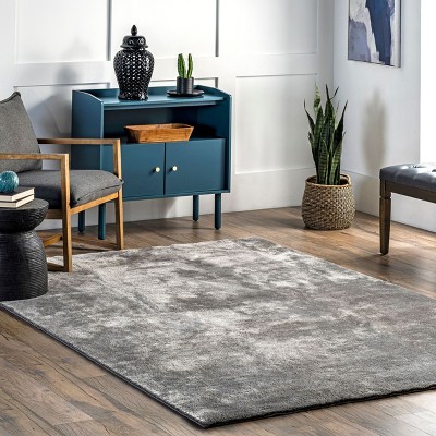 Gray 2' x 3' Machine Washable Shag Area Rug