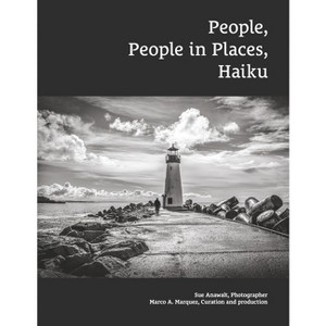 People, People in Places, Haiku - by  Susan Anawalt (Paperback) - 1 of 1