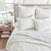 Velvet Quilt Set - Levtex Home - 3 of 4