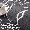Washable Area Rugs for Living Room Vintage Distressed Throw Rugs Ultra-Soft Low Pile Boho Floral Accent Carpet Traditional Indoor Carpet - 3 of 4