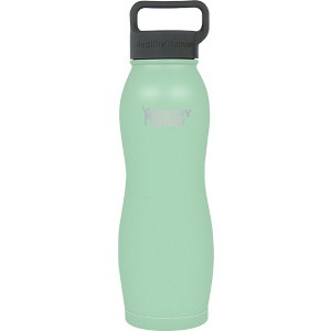 Healthy Human Stainless Steel Curve Water Bottle |(21 oz/ 621 ML, Seamist) - 1 of 4