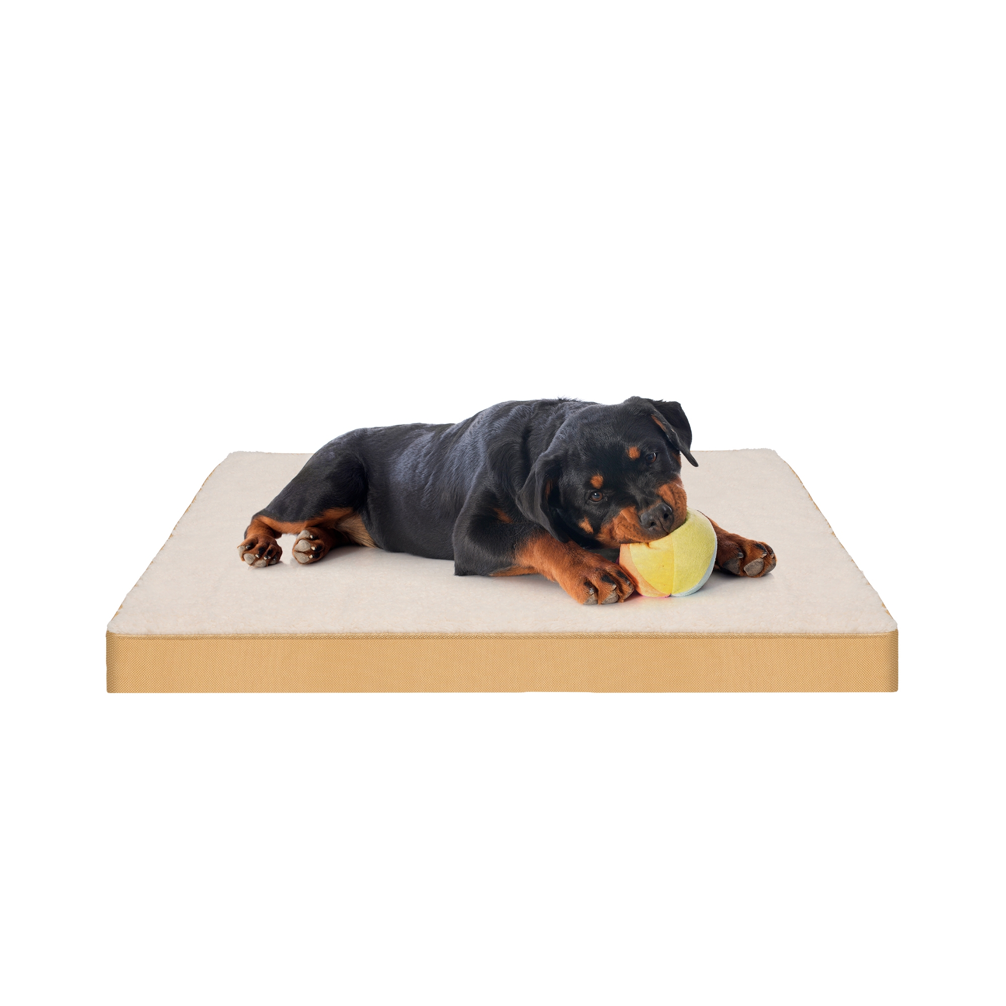 PureWags Orthopedic Dog Bed, Reversible Egg Crate Foam Pet Bed with Removable Washable Cover for Small, Medium and Large Dogs, Yellow