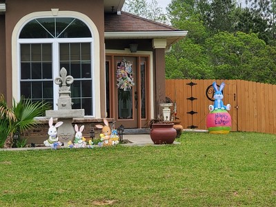 Guest review image 1 of 2, zoom in