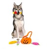 Midlee Find a Toy Halloween Pumpkin Bucket Dog Toy - 4 of 4