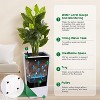30" Tall Planters, Set of 2, Black Outdoor/Indoor Pots with Drainage Holes, Water Level Monitor, Inner Bucket & Auto Watering, White - 2 of 4