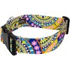 Country Brook Petz HossFit Jr Wide Deluxe Dog Collar - Groovy Collection - 4 of 4
