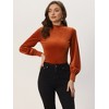 Allegra K Women's Velvet Crew Neck Puff Long Sleeve Rib Velour Blouse - 4 of 4