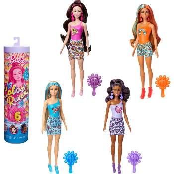 Barbie Color Reveal Rainbow-Inspired Series Doll & Accessories with 6 Surprises, Color-Change Bodice
