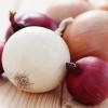Van Zyverden 250ct Allium Medley White Bulbs - 4 of 4