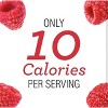 Skinnygirl Sugar Free Raspberry Preserves, 10 oz (Pack of 2) - 2 of 4