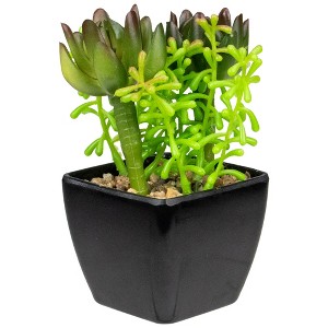 Northlight Potted Artificial Succulent Arrangement - 6" - 1 of 4