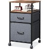 GALAXHERO  Mobile File Cabinet, Rolling Printer Stand with Open Storage Shelf, Fabric Vertical Filing Cabinet fits A4 or Letter Size for Home Office - 2 of 4