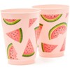 Blue Panda 16 Packs Plastic 16 oz Party Cups Watermelon Reusable Tumblers for Girls Kids Birthday, Pink - 4 of 4