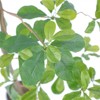 5.9/6.88FT Artificial Schefflera Tree Indoor With Natural Trunk And Realistic Leaves For Home Office Living Room Bedroom Foyer Porch Decor - 3 of 4