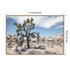Amanti Art 41"x28" Yucca by Shot by Clint Framed Canvas Wall Art - 4 of 4