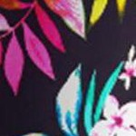tropical