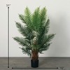 Sullivans Artificial 51" Potted Palm, Green - 4 of 4