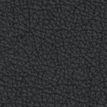 new england patriots