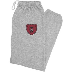 Ursinus College Primary Logo Jogger Sweatpants - 1 of 4