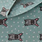 aqua french bulldog