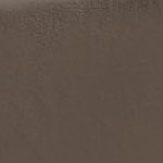 camel gold