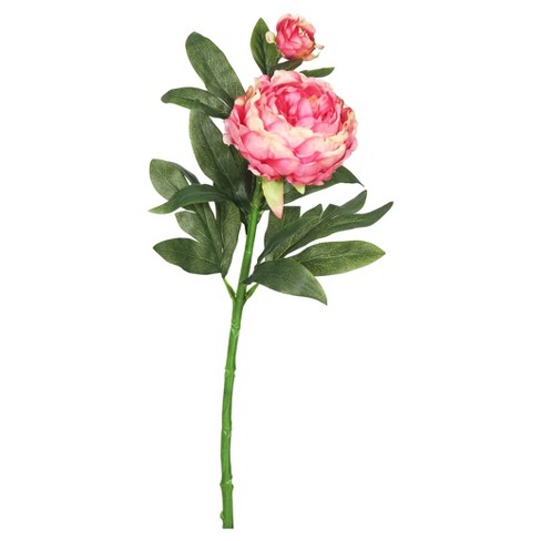 Artificial (Pk/3) Peony Stem Pink - Vickerman : Target