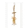 Prevue Pet Products Natural Sound & Movement Naturals - Duke Bird Toy 62556. - 2 of 3