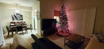 Guest review image 1 of 1, zoom in
