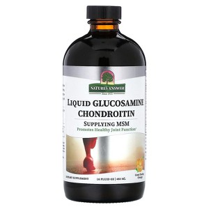 Nature's Answer Glucosamine & Chondroitin with MSM Liquid Orange Flavor, 16 Oz - 1 of 4