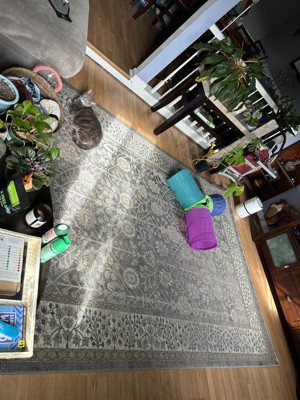 Guest review image 1 of 1, zoom in