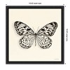 Amanti Art Butterfly V BW Crop by Debra Van Swearingen Framed Canvas Wall Art - 4 of 4