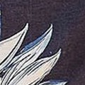 dark blue multi
